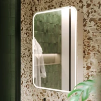 Зеркальный шкаф Alavann Lana 55-01 ALV0278002 с подсветкой цвет Белый