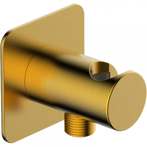 Шланговое подключение WasserKRAFT Havel A285 Золото матовое латунь на стену