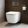 Унитаз Azario Riano AZ-2808E подвесной цвет Белый с сиденьем Микролифт