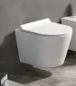 Унитаз с инсталляцией Azario AZ-501A+AZ-2217 цвет Белый с сиденьем Микролифт