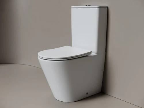 Унитаз-компакт Ceramicanova Ореол (Highlight) CN1802T-B цвет Белый без бачка с сиденьем Микролифт