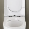 Унитаз Ceramicanova Mia Rimless CN1810 приставной с сиденьем Микролифт фаянс приставной