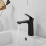 Смеситель для раковины Raffine F0185H цвет Черный