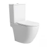 Унитаз компакт Azario Levita AZ-2903T цвет Белый с бачком и сиденьем Микролифт