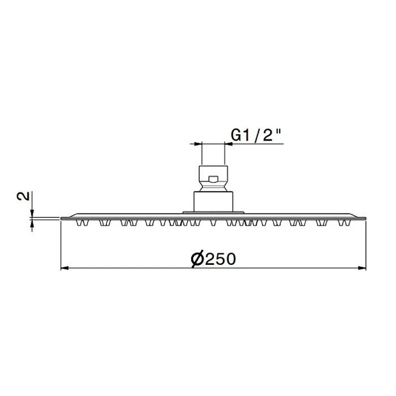 Верхний душ Newform X-Steel 316 29392X.50.050 цвет Inox