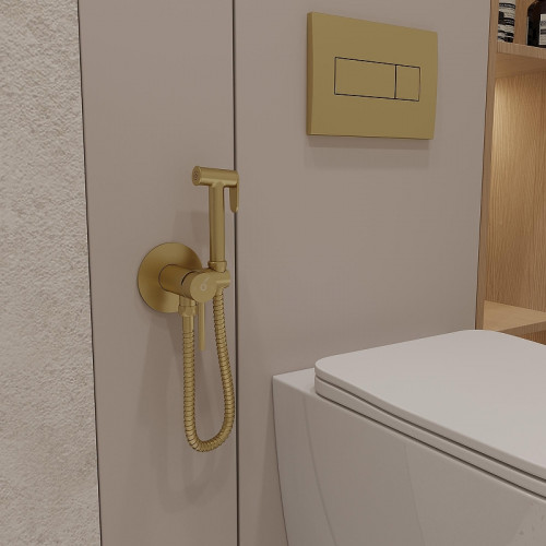 Гигиенический душ со смесителем Oliveeka Y OL-829902-BG цвет Золото матовое