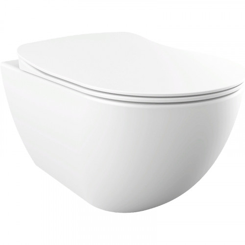 Унитаз биде Creavit Free FE320-00MB00E-0000 подвесной Белый матовый без сиденья фарфор подвесной