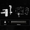 Смеситель для раковины Ledeme H54 1254L с гигиеническим душем Хром латунь