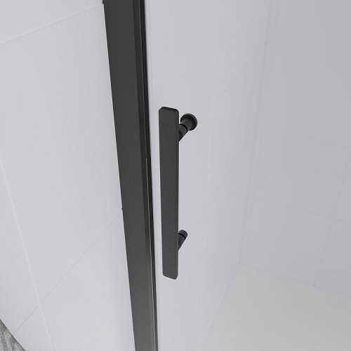 Душевая дверь Veconi Evo 100 GR 160 E1-GR-160-01-C9 профиль цвет Брашированный графит стекло прозрачное