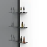Душевая перегородка Vincea Walk in WS 90 VSW-1HWS900CGB профиль цвет Черный стекло тонированное
