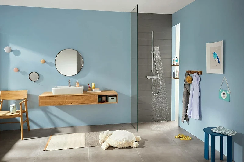 Смеситель для душа Hansgrohe Ecostat E 15773000 с термостатом Хром латунь на стену