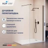 Душевая перегородка RGW Walk In (Волк-ин) WA-210B 100 351021010-14 профиль Черный стекло прозрачное