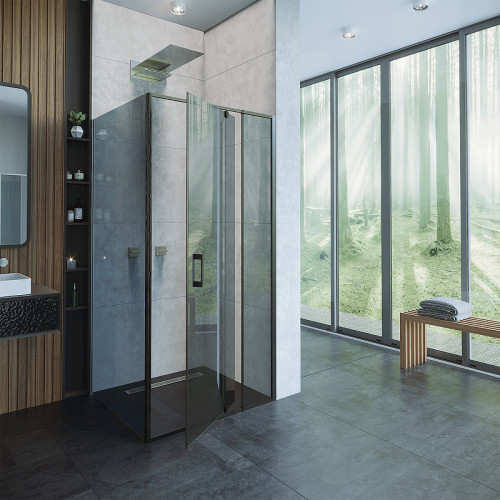 Душевая стенка Alex Baitler 100 SG74B100 профиль Черный матовый стекло тонированное