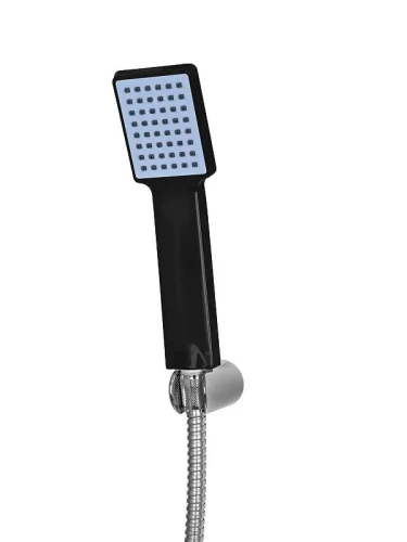 Смеситель для ванны Wisent WP3030-6 цвет Черный матовый
