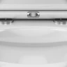 Унитаз AM.PM Gem FlashClean CK90H0203W подвесной с гигиеническим душем и ершиком с сиденьем Микролифт фарфор подвесной