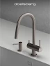 Смеситель для кухни Abelsberg Aera EMF71709BN цвет Титан