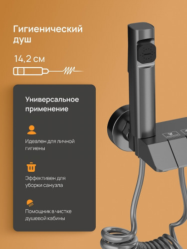 Душевая система DIWO Владимир D01180GB цвет Вороненая сталь