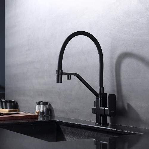 Смеситель для кухни Raglo R85.62.06 Черный матовый латунь