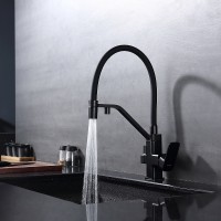 Смеситель для кухни Raglo R85.62.06 Черный матовый латунь