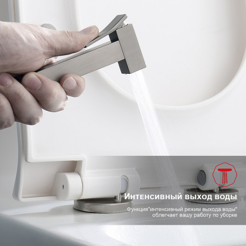 Гигиенический душ со смесителем Raglo R01.51.09 Графит матовый латунь на стену