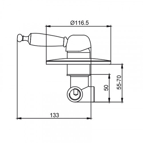Смеситель для душа Kaiser Vincent 31017 Хром латунь встраиваемый