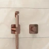 Гигиенический душ со смесителем WasserKRAFT Paar A8851.290.292.335 Розовое золото латунь встраиваемый