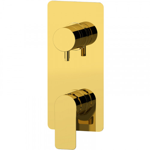 Смеситель для душа Remer Infinity i93DO Золото латунь встраиваемый