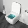 Унитаз AM.PM Gem FlashClean C901701SC подвесной с сиденьем Микролифт фарфор подвесной