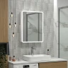 Зеркальный шкаф Reflection Chill 500х800 RF2317CH с подсветкой Белый матовый МДФ / ЛДСП, стекло