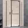 Душевой уголок RGW Passage PA-081B 100x100 35088100-14 профиль Черный стекло прозрачное