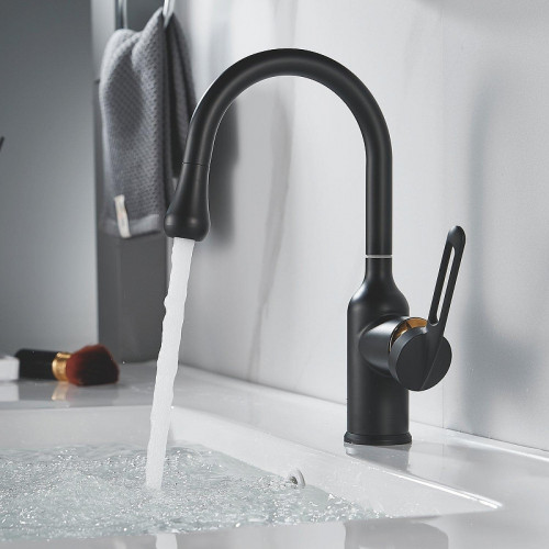 Смеситель для раковины Raffine F101H цвет Черный