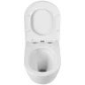 Унитаз Cezares Relax-Tor CZR-3806-53-TH-TOR/SC подвесной с сиденьем Микролифт фаянс подвесной