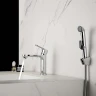 Смеситель для раковины Aquatek Альфа AQ1912CR с гигиеническим душем цвет Хром