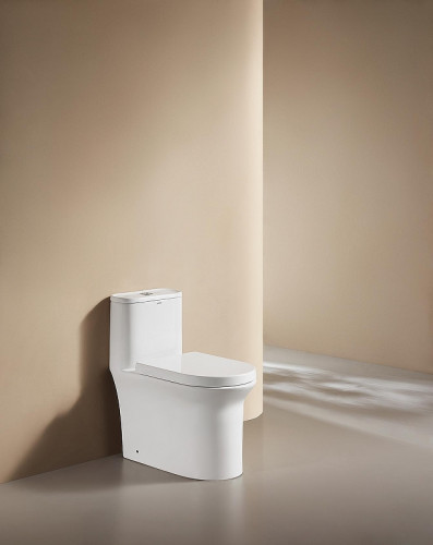 Унитаз моноблок Arrow AB1802H цвет Белый с бачком без сиденья