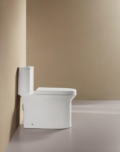 Унитаз моноблок Arrow AB1802H цвет Белый с бачком без сиденья