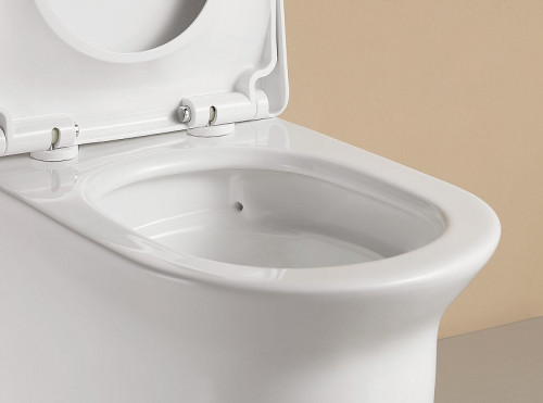 Унитаз моноблок Arrow AB1802H цвет Белый с бачком без сиденья