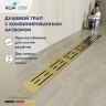 Душевой лоток RGW Drain Leo-30Gb-40 60213040-06 с решеткой Золото брашированное
