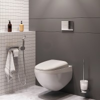 Унитаз AM.PM Sensation FlashClean CK30H0904W подвесной с гигиеническим душем и ершиком с сиденьем Микролифт фарфор подвесной