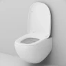 Унитаз AM.PM Sensation FlashClean CK30H0904W подвесной с гигиеническим душем и ершиком с сиденьем Микролифт фарфор подвесной