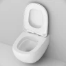Унитаз AM.PM Sensation FlashClean CK30H0904W подвесной с гигиеническим душем и ершиком с сиденьем Микролифт фарфор подвесной