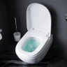 Унитаз AM.PM Sensation FlashClean CK30H0904W подвесной с гигиеническим душем и ершиком с сиденьем Микролифт фарфор подвесной