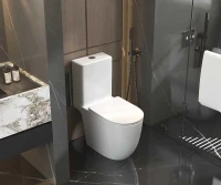Унитаз-компакт AQUAme AQM1007PRO цвет Белый без бачка с сиденьем Микролифт