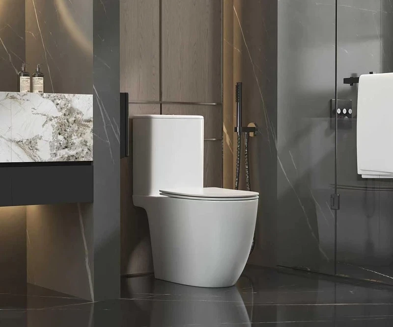 Унитаз-компакт AQUAme AQM1007PRO цвет Белый без бачка с сиденьем Микролифт