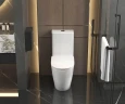 Унитаз-компакт AQUAme AQM1007PRO цвет Белый без бачка с сиденьем Микролифт