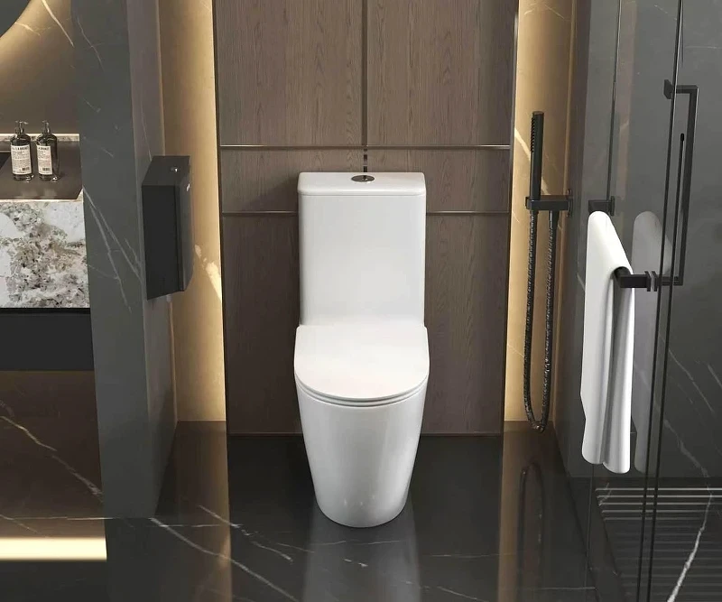 Унитаз-компакт AQUAme AQM1007PRO цвет Белый без бачка с сиденьем Микролифт