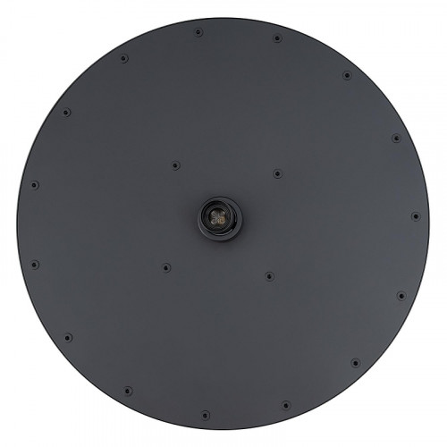 Верхний душ Splendy Feeling R FR212X300R1BM цвет Черный матовый