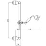 Душевой гарнитур Webert Comfort AC0384010 Золото латунь на стену