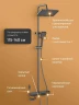 Душевая система DIWO Смоленск DW-SM75G цвет Серый