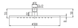 Верхний душ Splendy Feeling R FR212X300R1CR цвет Хром
