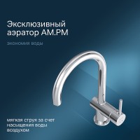 Смеситель для кухни AM.PM Like S F8007900 Хром латунь